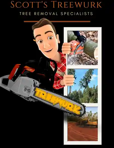 tree clearing service: Treewurk information and photos