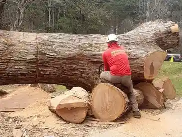 A worker wearing protective gear operates a chainsaw to cut a large fallen tree in a wooded area, providing emergency tree service. The tree trunk is partially cut into smaller logs, with wood chips and sawdust scattered around. The worker is positioned between the tree segments.