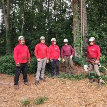 Georgia tree inspectors