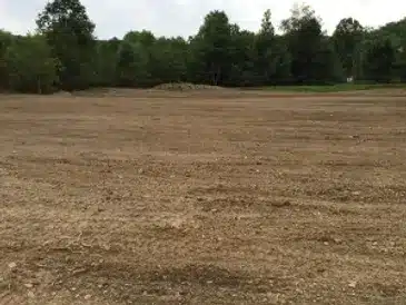 A barren patch of land stretches across the foreground with sparse grass and a few small rocks visible. In the background, there's a line of dense, green trees under an overcast sky, suggesting a recent tree service has taken place after some stump grinding and land cleaning efforts.