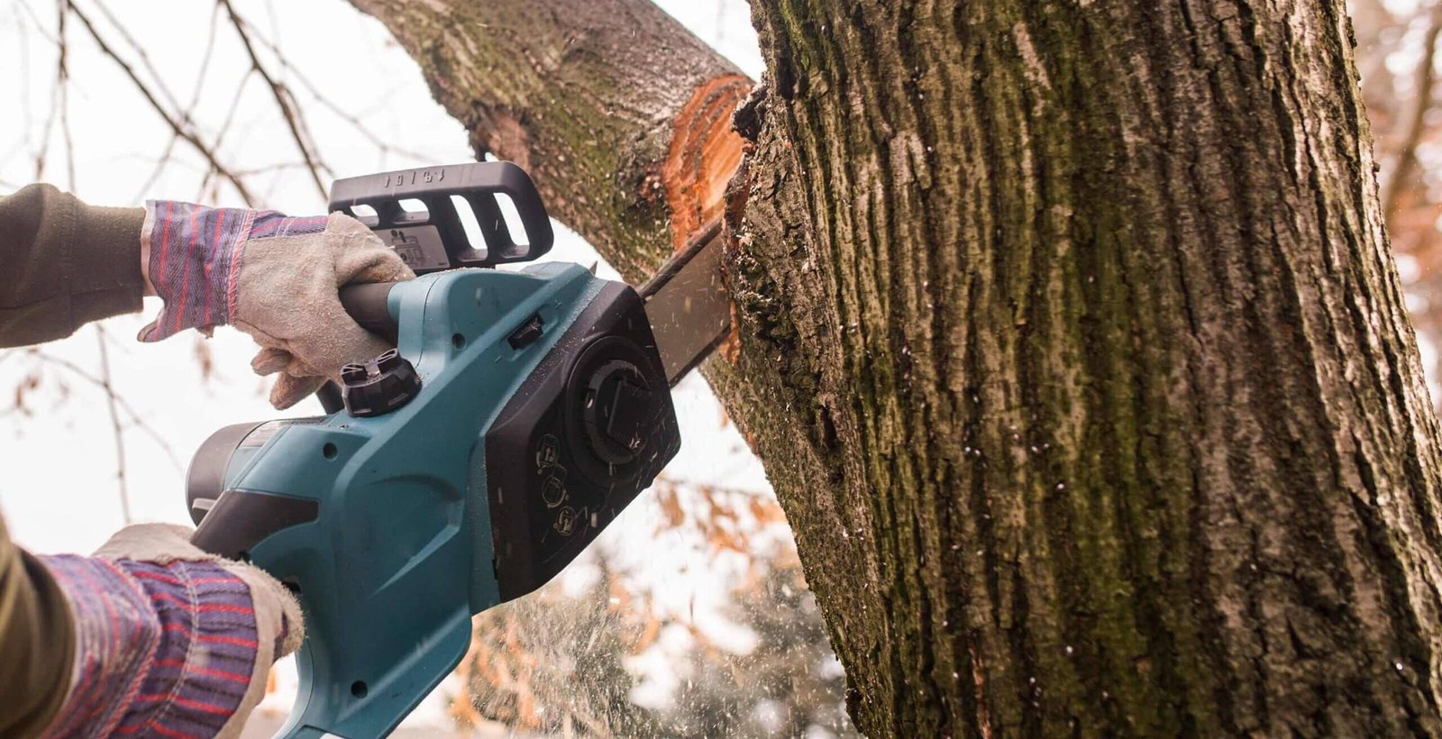Tree service company in Atlanta, GA, performing a tree trimming and tree removal