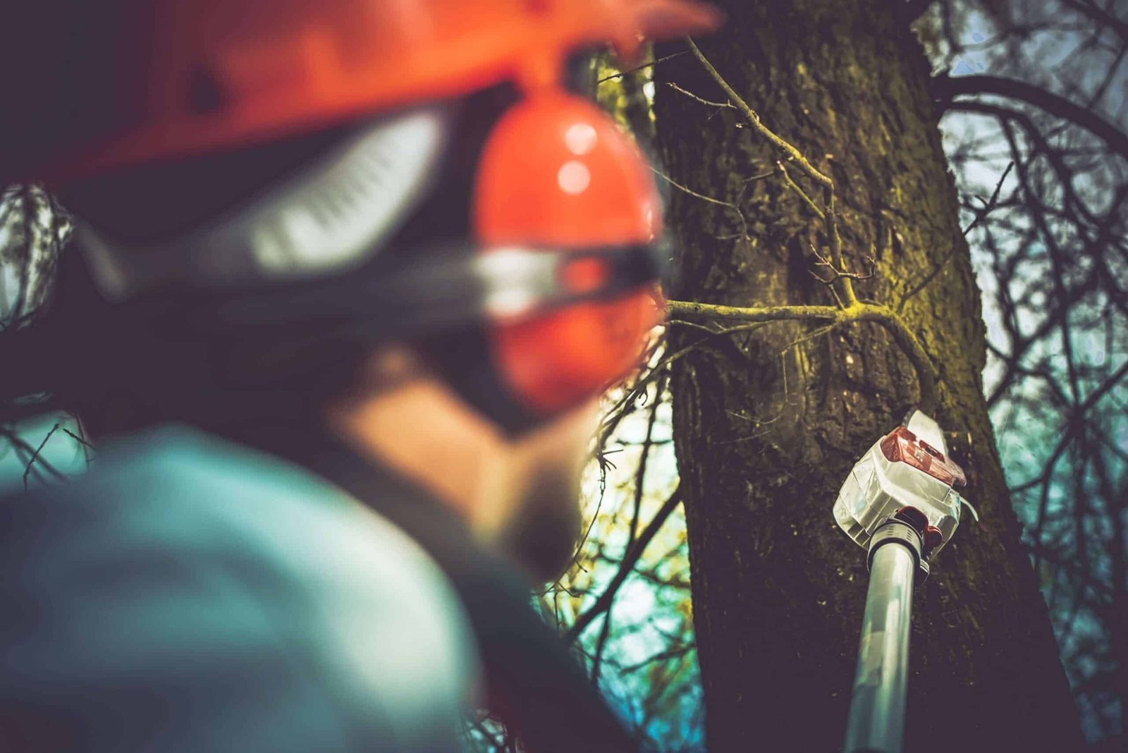 A person wearing a red safety helmet and ear protection operates a pole saw to cut branches from a tree, as part of an emergency tree service. The image focuses on the tree trunk and the saw's blade, with blurred branches and sky in the background.