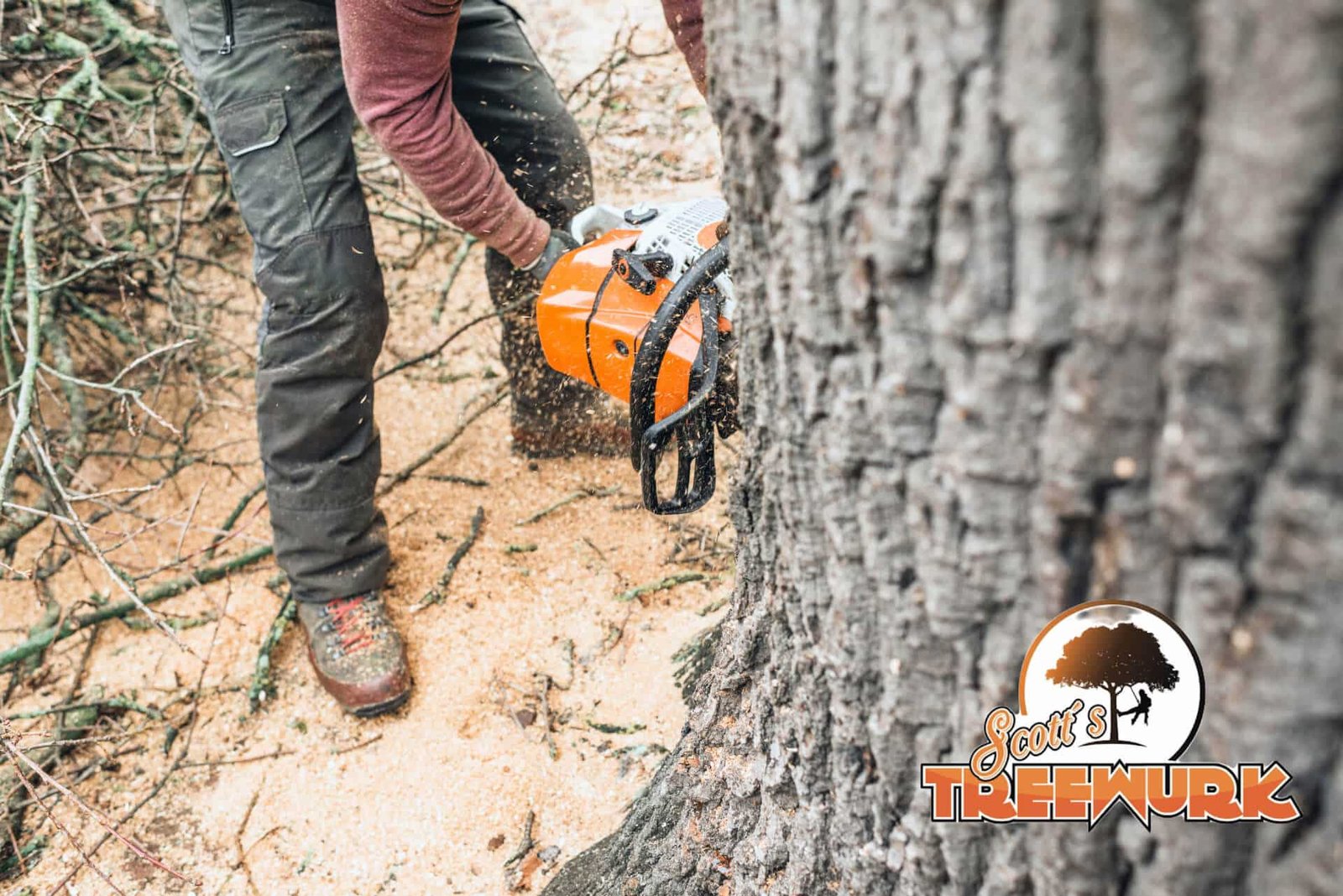 A person operating an orange chainsaw is cutting down a tree. Sawdust flies as the chainsaw slices through the trunk. The person, in work boots and green pants, seems prepared for stump grinding after the cut. The logo in the bottom right corner reads "Scott's Treewurx" with a tree graphic above the text.
