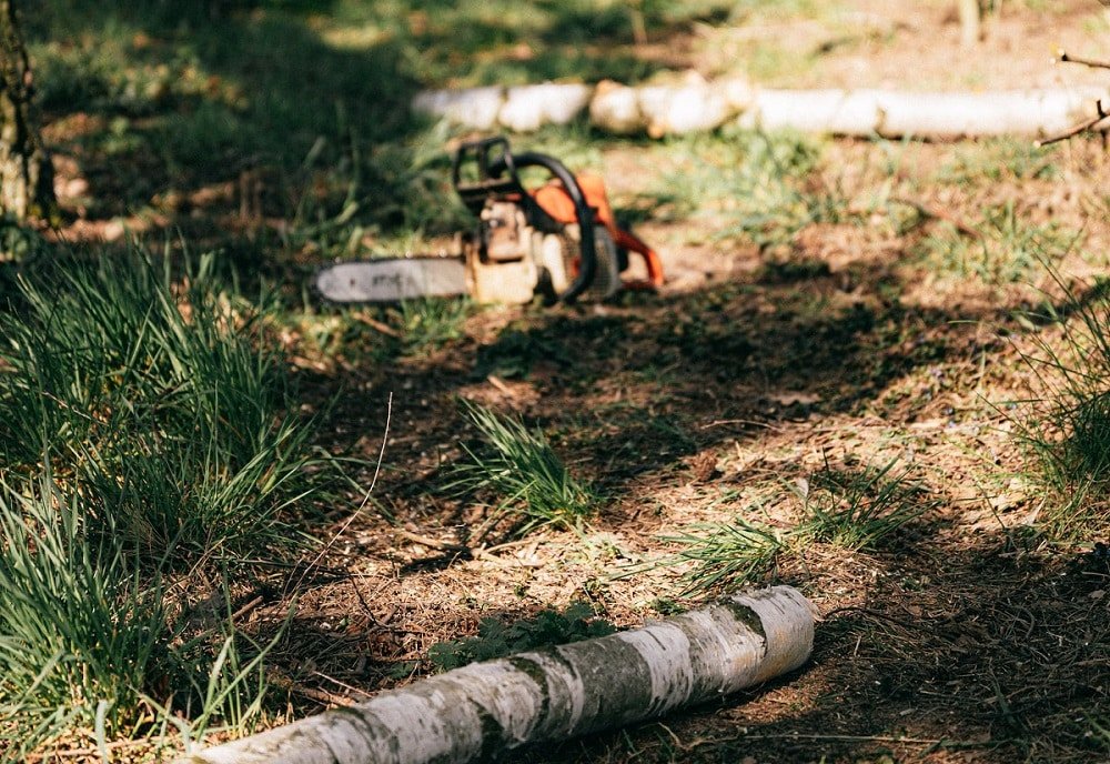 A chainsaw lies on the ground among fallen tree branches and patches of grass, surrounded by cut logs. The scene is set in a forested area with sunlight filtering through the trees, suggesting recent land clearing efforts.