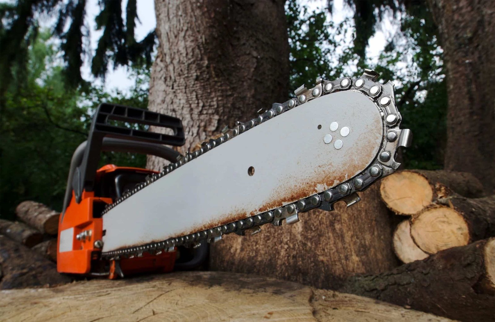 Tree clearing service: Photo of chainsaw