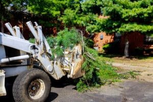 Tree clearing service: Photo of trees being cleared by tractor
